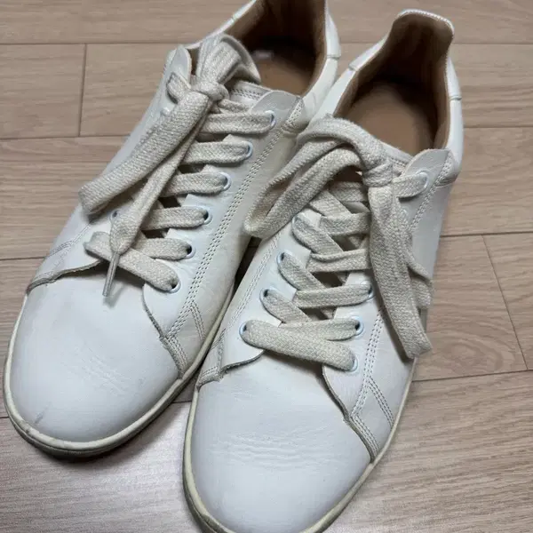 (285) 그라더스 블루처12