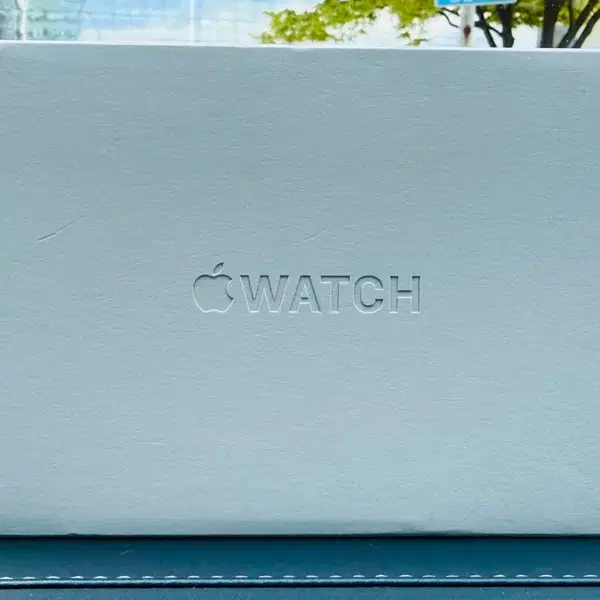 애플 애플워치 울트라 3 셀룰러 내추럴티타늄, 49mm, 알파인 루프 밴드