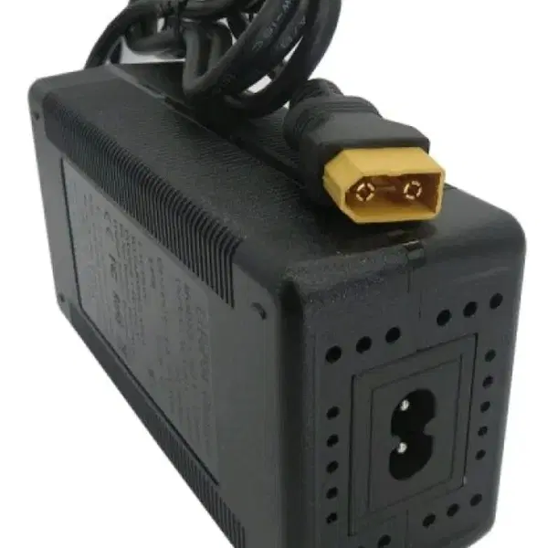 한전전용충전기10A 16.8v 리튬배터리4s용