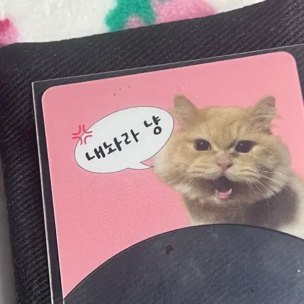 감제이 라떼 포카 판매 - 2번째 이미지