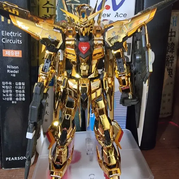 RG 아카츠키
