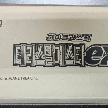테라스탈페스타 카톤 판매