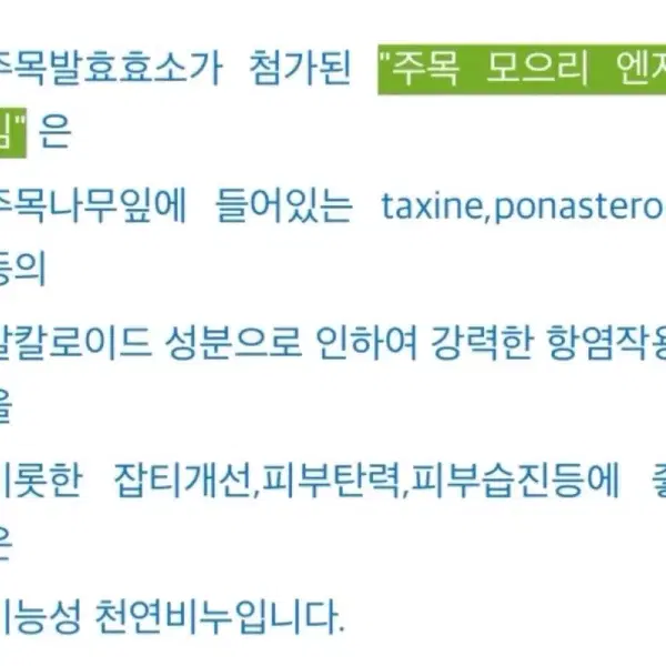주목 모으리 엔자임 천연 비누 5개 일괄 - 4번째 이미지