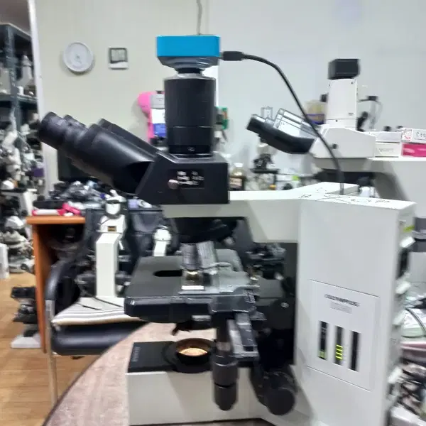 OLYMPUS BX40 3안CCD 위상차현미경 싸게판매합니다