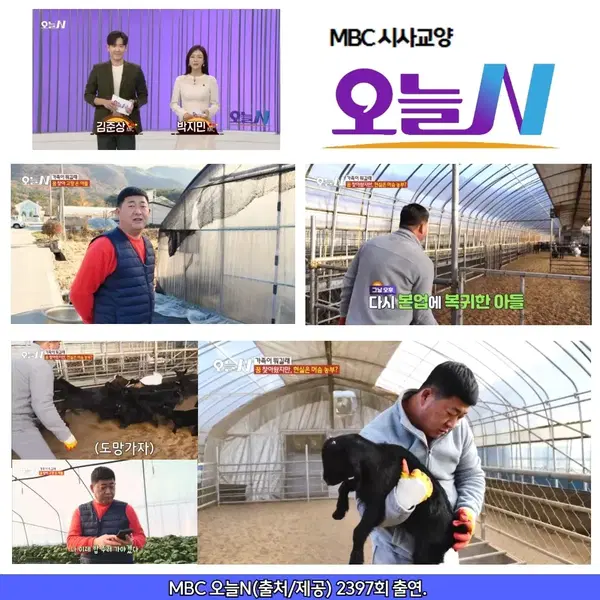 그린팜흑염소진액 네박스 - 9번째 이미지
