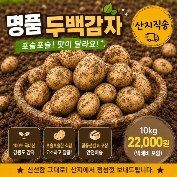26년 강원도 양구 두백 분감자(왕,특,대) 혼합 10 KG