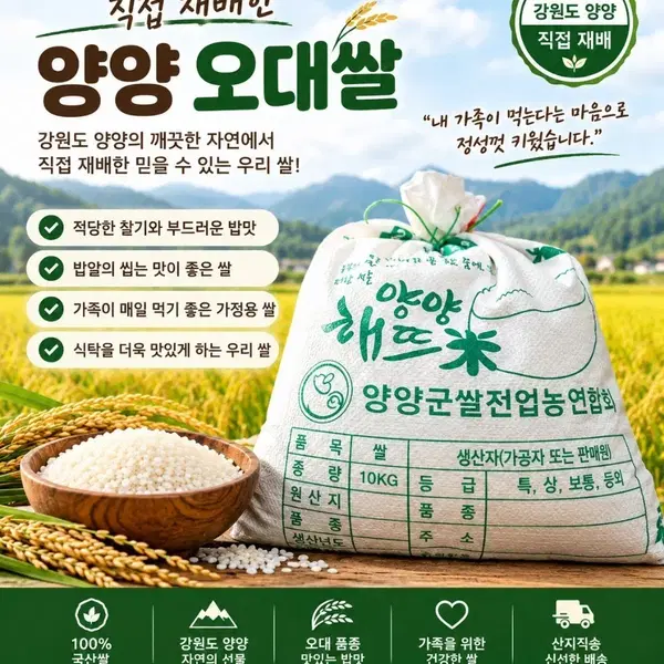 26년산 양양 오대쌀 10키로 - 1번째 이미지
