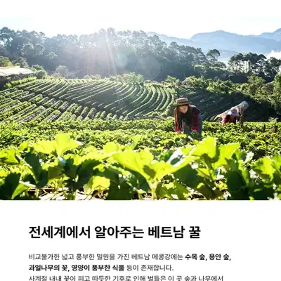 천연벌꿀 100프로 입니다. 설탕먹인 사양꿀아님. - 3번째 이미지