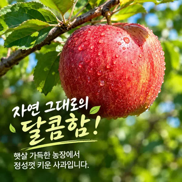 사과(10kg) 산지직송