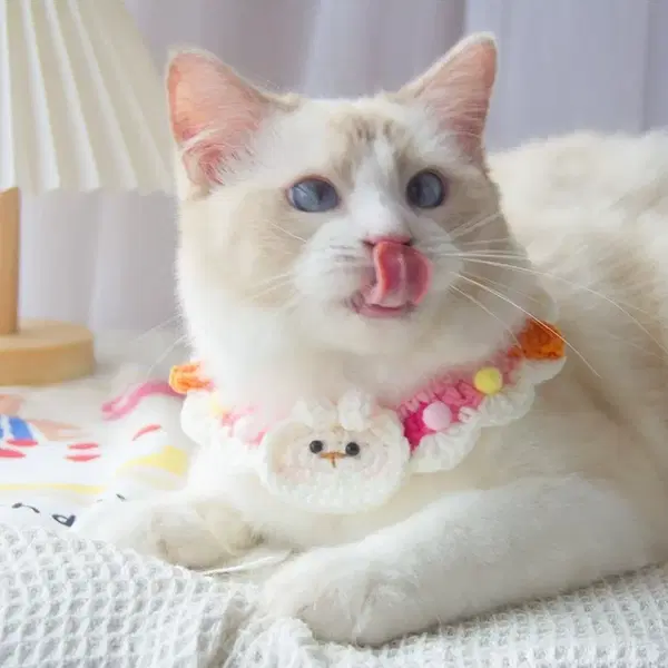 강아지 고양이 반려동물 케이프 인형 스카프 병아리&물고기&토끼 4종류 - 7번째 이미지