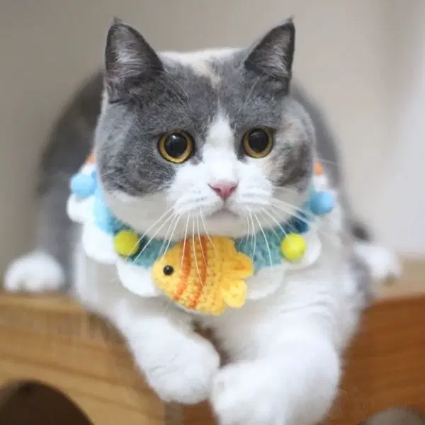강아지 고양이 반려동물 케이프 인형 스카프 병아리&물고기&토끼 4종류 - 3번째 이미지