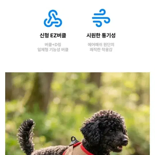 (새상품) 퍼피아 강아지 애견 하네스 가슴리드줄 팝니다 - 6번째 이미지