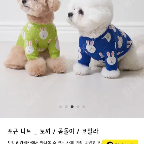 리카리카 토끼 니트 강아지 옷 sm