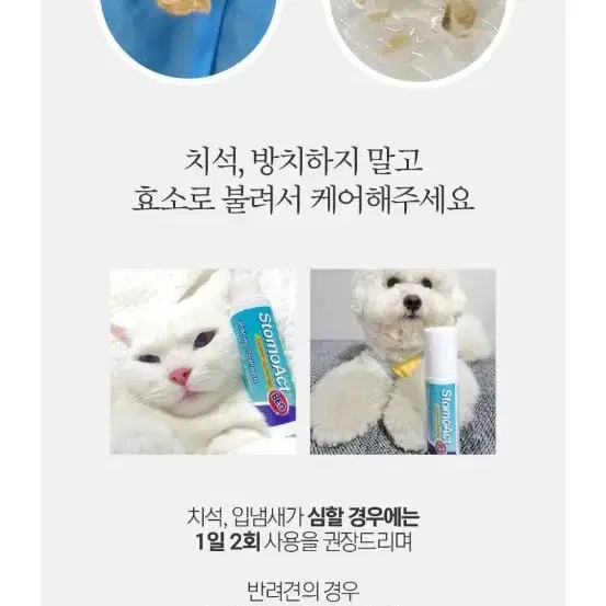 시그니처바이 치약 - 3번째 이미지