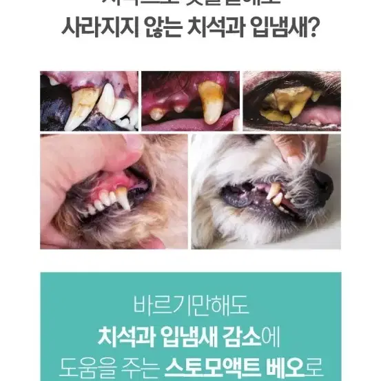 시그니처바이 치약 - 5번째 이미지