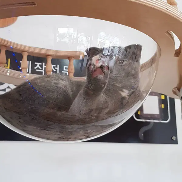 5단캣타워 캣폴합작품 - 1번째 이미지