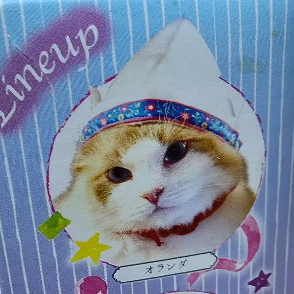 스위스풍 고양이 모자 가챠