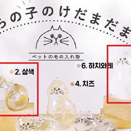 반려동물 털 가챠 키링