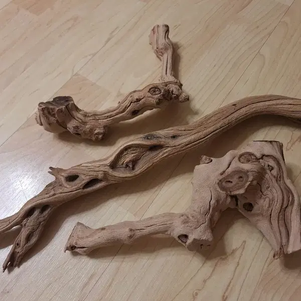 테라리움에 활용하기 좋은 유목과 수석 일괄 급처