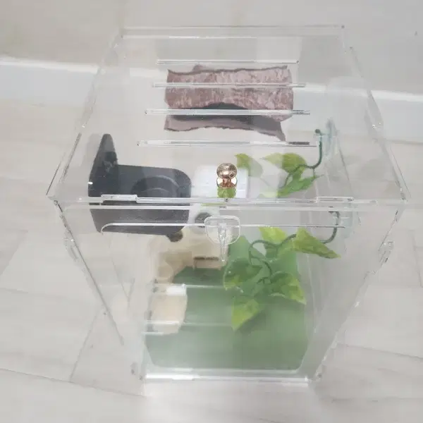 20 20 30 크레스티드 게코 사육장 - 3번째 이미지