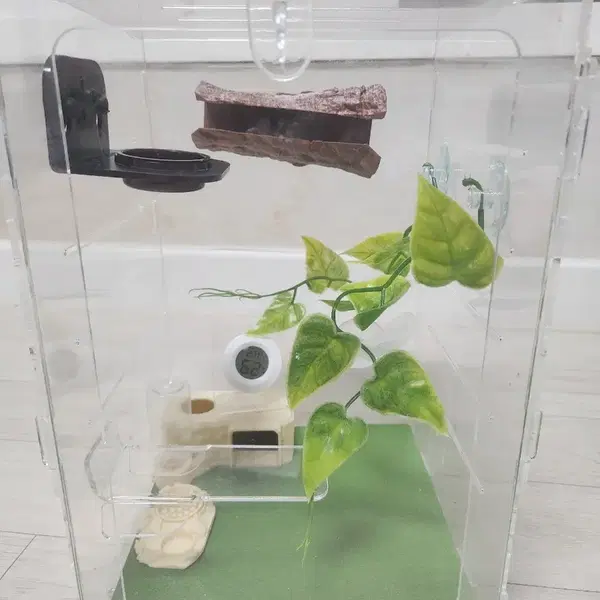 20 20 30 크레스티드 게코 사육장