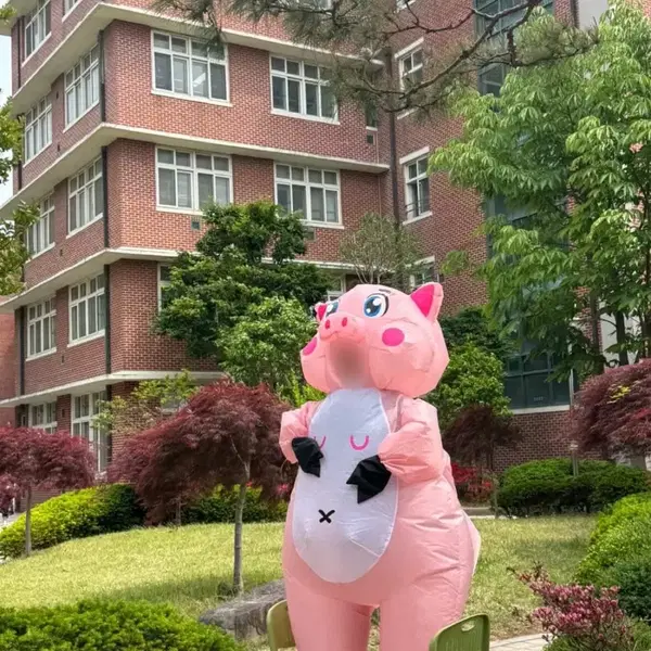 돼지 에어슈트