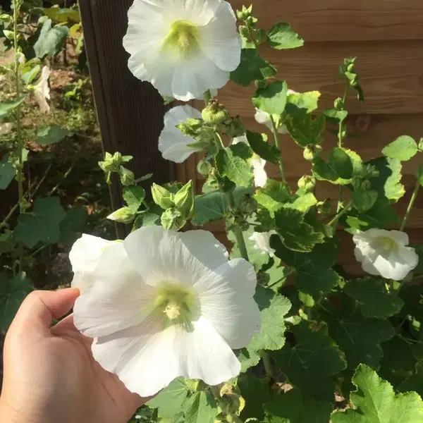 중국어 전문 번역해드립니다. (계약서, 기술협의서, 무역관련 서류 외 ) - 1번째 이미지