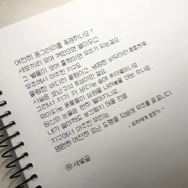 손글씨 대필/다양한 글씨체 손편지/손글씨 필사/탄원서 - 2번째 이미지
