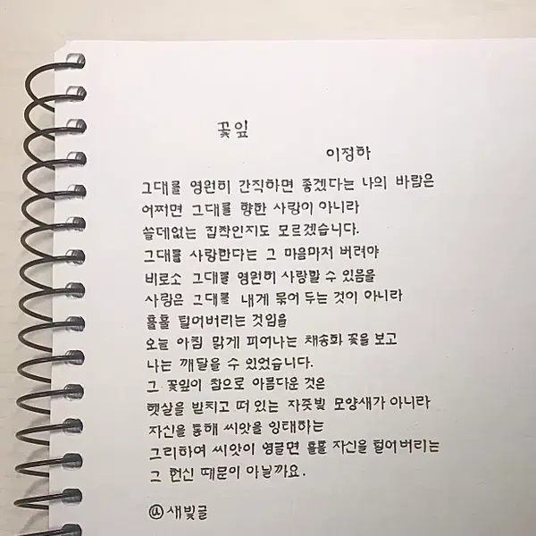 손글씨 대필/다양한 글씨체 손편지/손글씨 필사/탄원서 - 4번째 이미지