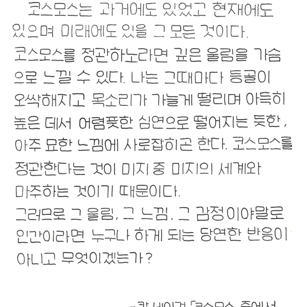 손글씨 대필/다양한 글씨체 손편지/손글씨 필사/탄원서 - 3번째 이미지